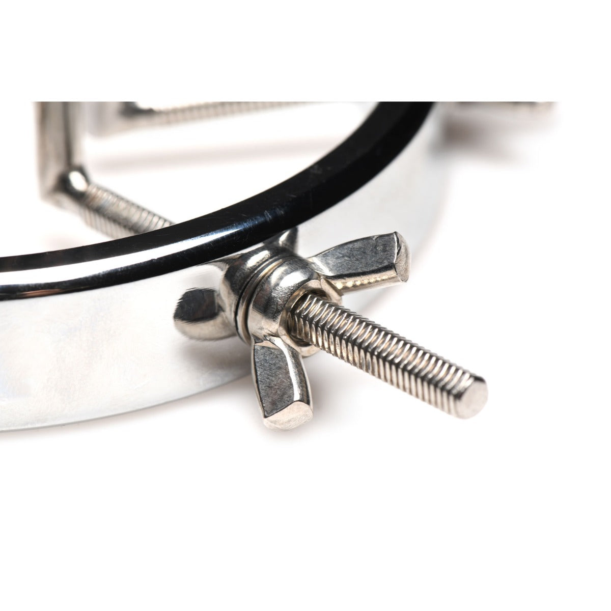 MASTER SERIES Oculus Stainless Steel Anal Explorer