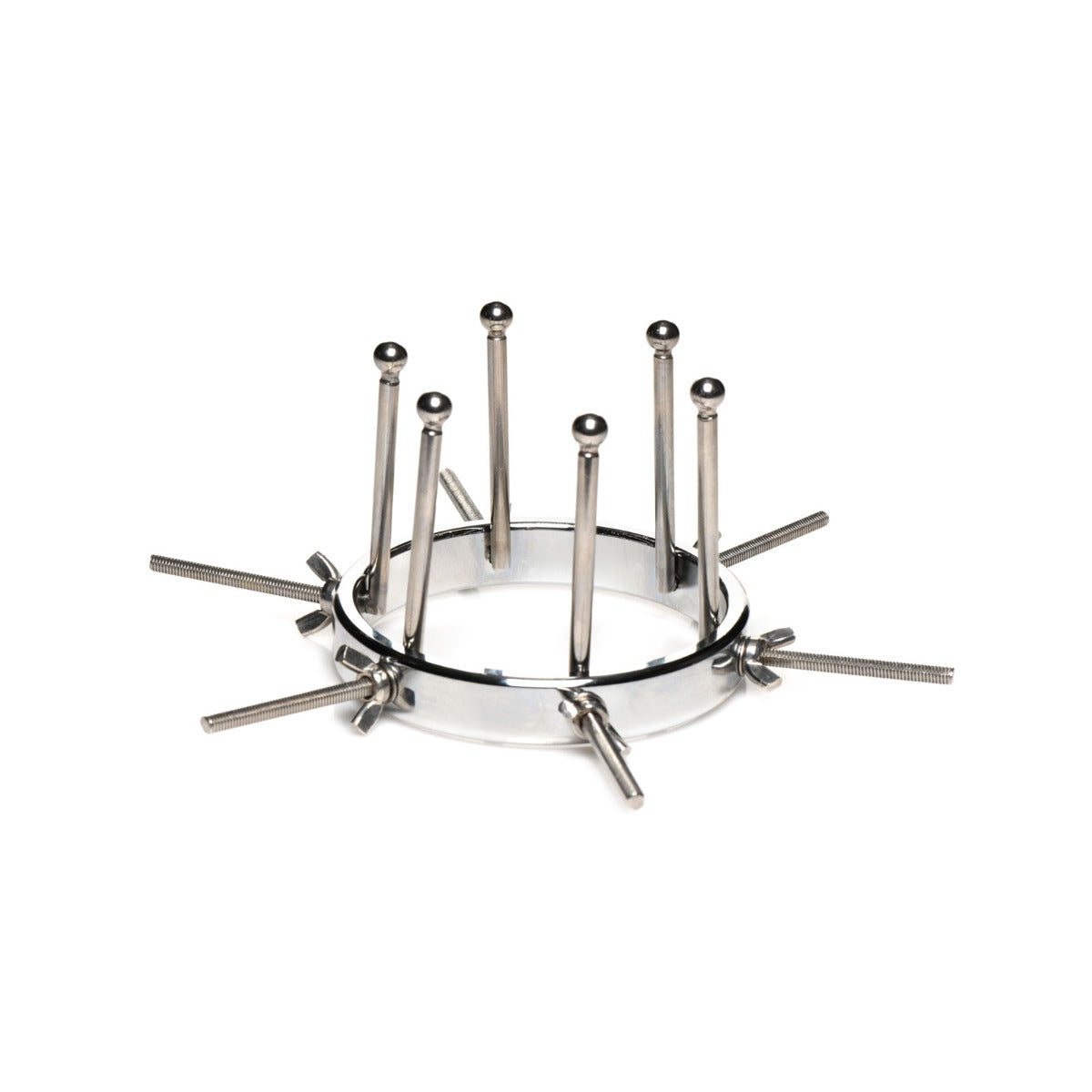MASTER SERIES Oculus Stainless Steel Anal Explorer