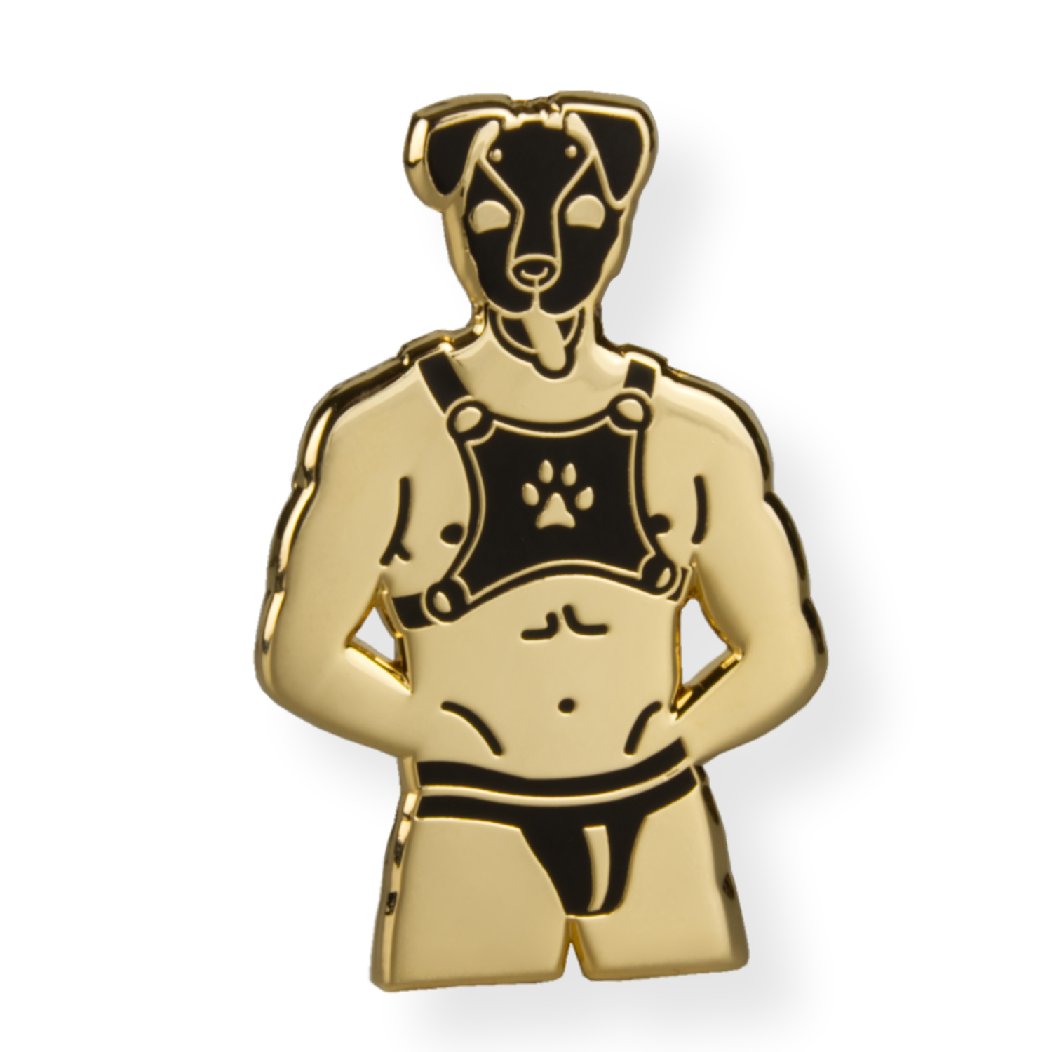 MASTER OF THE HOUSE Pin Alpha