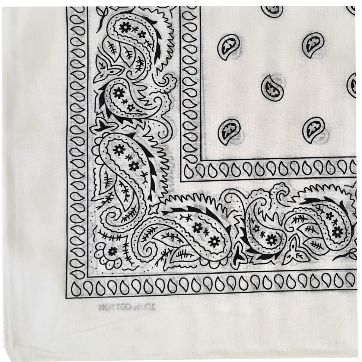 HAUS OF MONTAGU Hankies | Hanky Code - Haus of Montagu