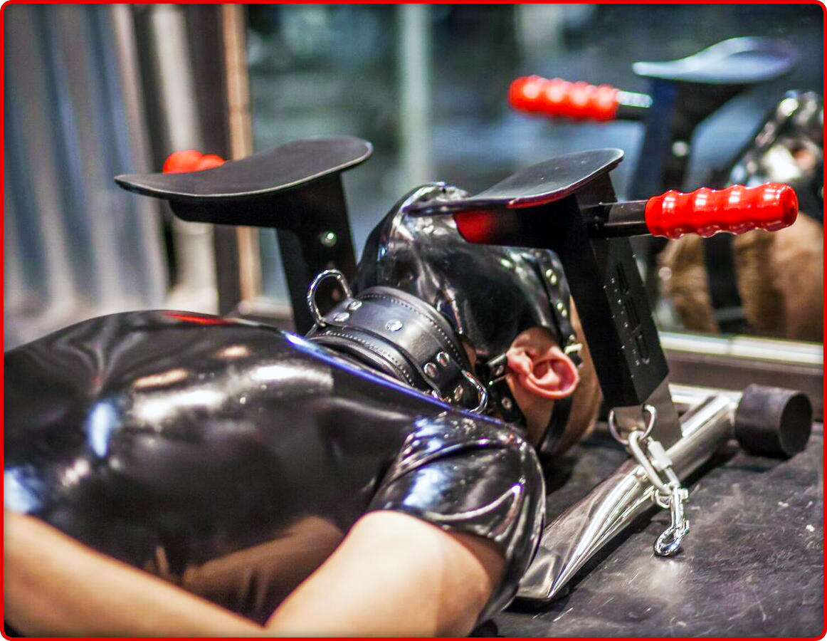 RED Stainless Steel Rim Seat - Haus of Montagu