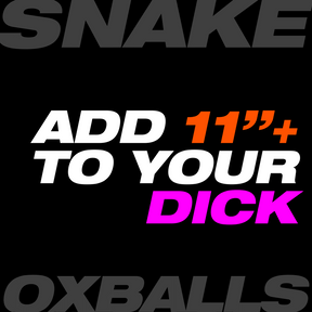 OXBALLS Snake Cocksheath