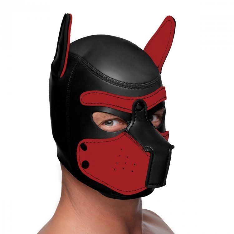 MASTER SERIES Spike Neoprene Puppy Hood - Haus of Montagu