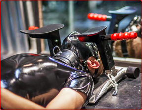 RED Stainless Steel Rim Seat - Haus of Montagu
